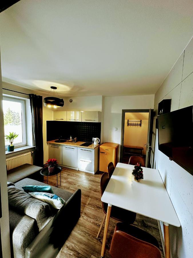 Swarny Zakatek Apartment Закопане Екстериор снимка