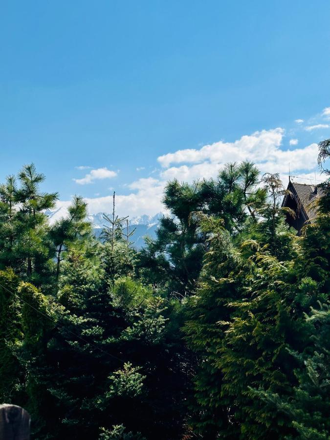 Swarny Zakatek Apartment Закопане Екстериор снимка